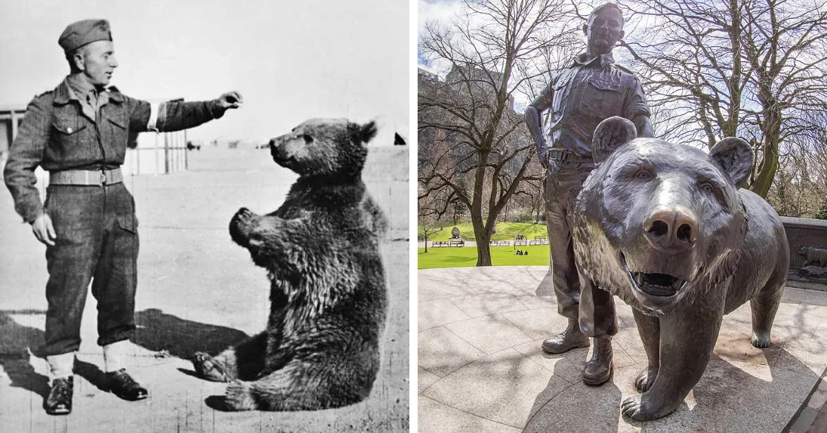 Wojtek the bear with Polish soldiers during WWII